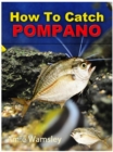 Image for How To Catch Pompano
