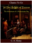 Image for In the Reign of Terror
