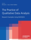 Image for The Practice of Qualitative Data Analysis