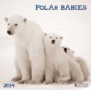 Image for Polar Babies 2014