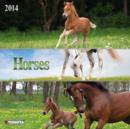 Image for Horses 2014