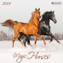 Image for The Magic of Horses 2014