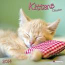 Image for Kittens 2014