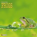 Image for Amazing Frogs 2014