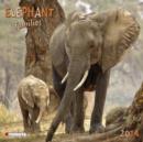 Image for Elephant Families 2014