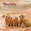 Image for Meerkats 2014