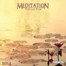 Image for Meditation 2014