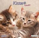 Image for CATS KITTENS 2016