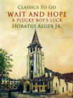 Image for Wait and Hope