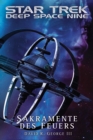 Image for Star Trek - Deep Space Nine: Sakramente des Feuers