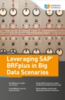 Image for Leveraging SAP BRFplus in Big Data Scenarios