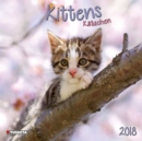 Image for Kittens 2018