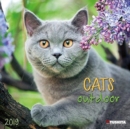 Image for Cats Outdoors 2019