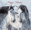 Image for Magic Horses 2019
