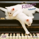 Image for Kittens 2019
