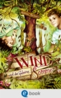 Image for Wind und der geheime Sommer