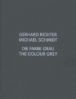 Image for Gerhard Richter, Michael Schmidt - the colour grey