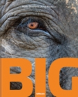 Image for Big  : a photographic album of the world&#39;s largest animals