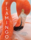 Image for Flamingo