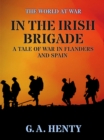 Image for In the Irish Brigade  A Tale of War in Flanders and Spain