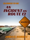 Image for Incident on Route 12