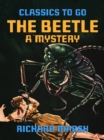 Image for Beetle, A Mystery