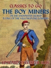Image for Boy Miners, or, The Enchanted Island, A Tale Of the Yellowstone Country