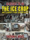 Image for Ice Crop, How to Harvest, Store, Ship and Use Ice