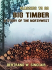 Image for Big Timber, A Story of the Northwest