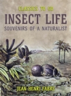 Image for Insect Life Souvenirs of a Naturalist