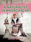 Image for Naturalist in Madagascar