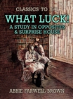 Image for What Luck! A Study in Opposites &amp; Surprise House