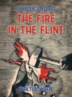 Image for Fire in the Flint