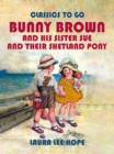 Image for Bunny Brown And His Sister Sue And Their Shetland Pony