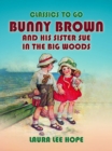 Image for Bunny Brown And His Sister Sue In The Big Woods