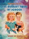 Image for Bobbsey Twins At School