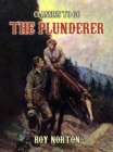 Image for Plunderer