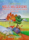 Image for Niels Holgersens wunderbare Reise mit den Wildgansen - Erster Teil