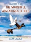 Image for Wonderful Adventures of Nils