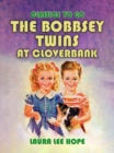 Image for Bobbsey Twins at Cloverbank