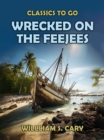 Image for Wrecked on the Feejees