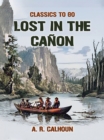 Image for Lost in the Canon