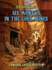 Image for Six Months in the Gold Mines