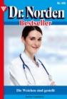 Image for Die Weichen sind gestellt : Dr. Norden Bestseller 495 - Arztroman: Dr. Norden Bestseller 495 - Arztroman