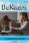 Image for Im Angesicht  des Abgrunds: Dr. Norden Extra 230 - Arztroman