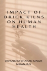 Image for Impact of Brick Kilns on Human Health