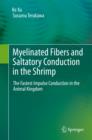 Image for Myelinated fibers and saltatory conduction in invertebrates
