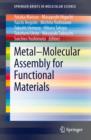 Image for Metal-Molecular Assembly for Functional Materials