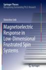 Image for Magnetoelectric Response in Low-Dimensional Frustrated Spin Systems