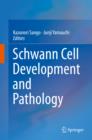 Image for Schwann cell development and pathology